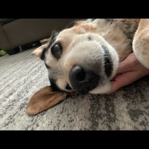 Meet your Posher, Jamie